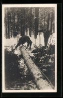 AK Forstarbeiter Zersägen Einen Baum Im Schnee  - Sonstige & Ohne Zuordnung