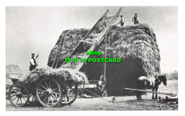 R580015 Building A Hay Rick. With Oxfordshire Waggon. Elevator And Horse Gearing - Monde