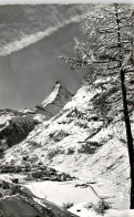 13949942 Zermatt_VS Winterpanorama Blick Gegen Matterhorn Walliser Alpen - Andere & Zonder Classificatie