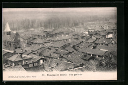 CPA Beaurepaire, Vue Générale  - Beaurepaire