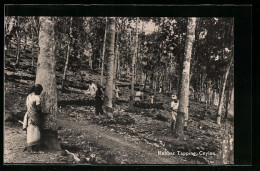 AK Ceylon, Rubber Tapping  - Non Classés