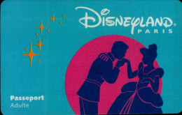 PASSEPORT DISNEY...ADULTE - Pasaportes Disney