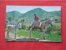 Tortola British Virgin Islands Donkey Road Town Cane Garden Bay   Ref 6398 - Vierges (Iles), Britann.