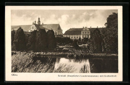 AK Oliva, Schloss Mit Kathedrale  - Westpreussen