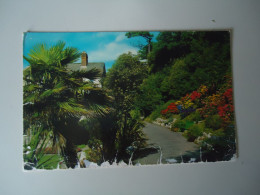 MADEIRA PORTUGAL   POSTCARDS WALK EXMOUTH     MORE  PURHASES 10% OFF - Madeira