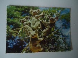 AUSTRALIA  POSTCARDS   ANIMALS KOALAS     MORE  PURHASES 10% OFF - Other & Unclassified