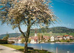 13132245 Stein Rhein Panorama Stein Rhein - Sonstige & Ohne Zuordnung