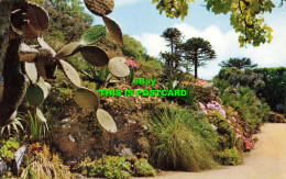 R580519 Scilly. Tresco Gardens. F. E. Gibson. Natural Colour Series - World