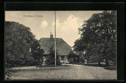 AK Dodau, Vor Dem Forsthaus  - Hunting