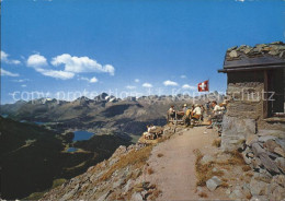 11871761 Segantinihuette Blick Vom Oberen Schafberg Pontresina - Autres & Non Classés