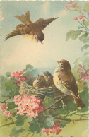 Illustration Theme Oiseaux Dans Un Nid Fleurs     Q 2594 - Oiseaux