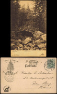 Ansichtskarte Oker-Goslar Okertal - Holzbrücke 1904 - Goslar