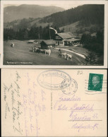 Ansichtskarte Garmisch-Partenkirchen Partnachalm - Kühe 1931 - Garmisch-Partenkirchen