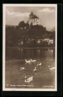 AK Buchs, Schloss Werdenberg Vom Schwanensee Aus Gesehen  - Buchs