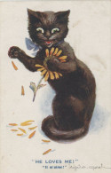 Human Black Cat Playing With Sunflower . Chat Noir Et Fleur Tournesol - Dressed Animals