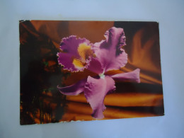 ITALY   POSTCARDS   ORCHID FLOWERS      MORE  PURHASES 10% DISCOUNT - Fleurs