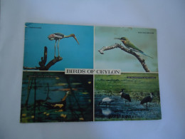 CEYLON  SRI LANCA    POSTCARDS  BIRDS OF CEYLON     MORE  PURHASES 10% DISCOUNT - Vogels
