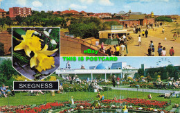 R580599 Skegness. The Waterways. Grand Parade Gardens. Bamforth. Color Gloss Vie - World