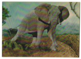 3D-AK Elephant Auf Dem Weg Zum Betrachter  - Fotografie