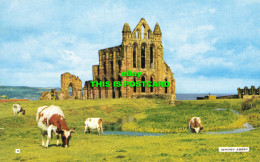 R580663 Whitby Abbey. Bamforth. Color Gloss View Series - Monde
