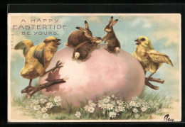 AK Osterhasen Auf Dem Osterei  - Easter