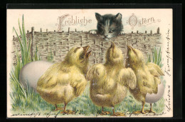 AK Kätzchen Beobachtet Osterküken  - Easter