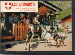 LES LINDARETS     // Lot 23 // CHEVRES - Sonstige & Ohne Zuordnung