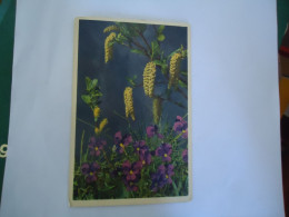 SWITZERLAND   POSTCARDS Alpes Viridis  FLOWERS  MORE PURHASES 10% DISCOUNT - Other & Unclassified