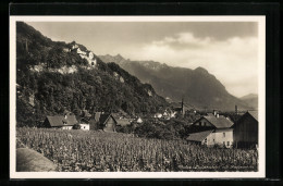 AK Vaduz, Gesamtansicht Mit Rappenstein  - Liechtenstein