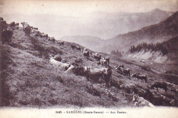 74 - SAMOENS -  Aux Bostan - Vaches Au Paturage - Samoëns