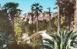 06 - GRASSE -  Vue Prise Du Parc Palace - Grasse