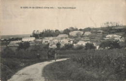 17 / CPA / ST SORLIN DE COGNAC / VUE PANORAMIQUE 1915 - Other & Unclassified