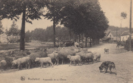 ROCHFORT   PROMENADE DE LA LOMME - Rochefort