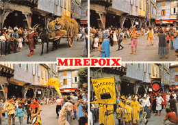 9 MIREPOIX - Mirepoix
