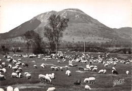 63 LE PUY DE DOME - Sonstige & Ohne Zuordnung