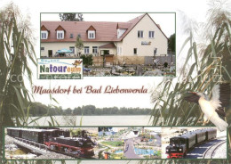 73642432 Maasdorf Bad Liebenwerda Elster Natoureum Restaurant Dampflokomotiven M - Bad Liebenwerda