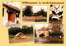 73642420 Gross Schoenebeck Gasthaus Zum Weissen Hirsch Schafe Gross Schoenebeck - Finowfurt