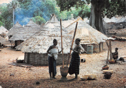 SENEGAL PREPARATION DU REPAS - Sénégal