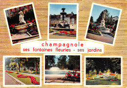 39 CHAMPAGNOLE - Champagnole