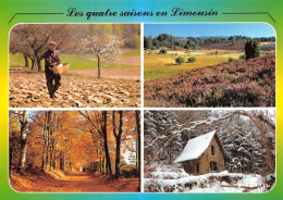 87 EN LIMOUSIN - Andere & Zonder Classificatie