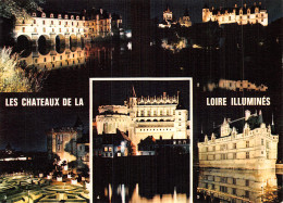 37 CHATEAUX DE LA LOIRE - Sonstige & Ohne Zuordnung