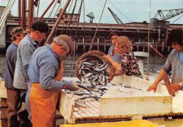 62 BOULOGNE SUR MER L ARRIVEE DU POISSON - Boulogne Sur Mer