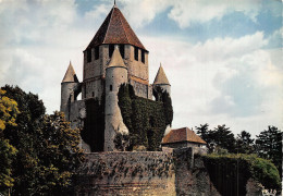 77 PROVINS LA TOUR DE CESAR - Provins