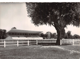 3 VICHY CHAMP DE COURSES - Vichy