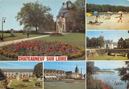 45 CHATEAUNEUF SUR LOIRE LE CHÂTEAU - Sonstige & Ohne Zuordnung