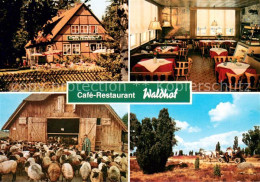 73642274 Niederhaverbeck Cafe Restaurant Waldhof Gaststube Schafherde Pferdekuts - Sonstige & Ohne Zuordnung