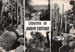 98 MONACO LE JARDIN EXOTIQUE - Jardin Exotique