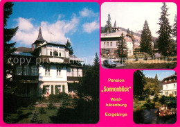 73641999 Waldbaerenburg Pension Sonnenblick Park Waldbaerenburg - Altenberg