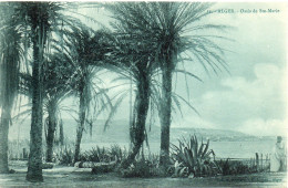 ALGERIE - ALGER - 32 - Oasis De Sainte Marie - Collection Régence E. L. édit. Alger (Leroux) - Autres & Non Classés