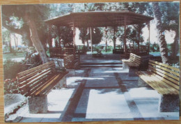 EGYPT ASWAN BOTANICAL GARDENS CARTE POSTALE POSTKARTE CARD KARTE POSTCARD CARTOLINA ANSICHTSKARTE - Assouan